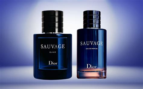 dior homme intense vs dior sauvage|dior sauvage differences.